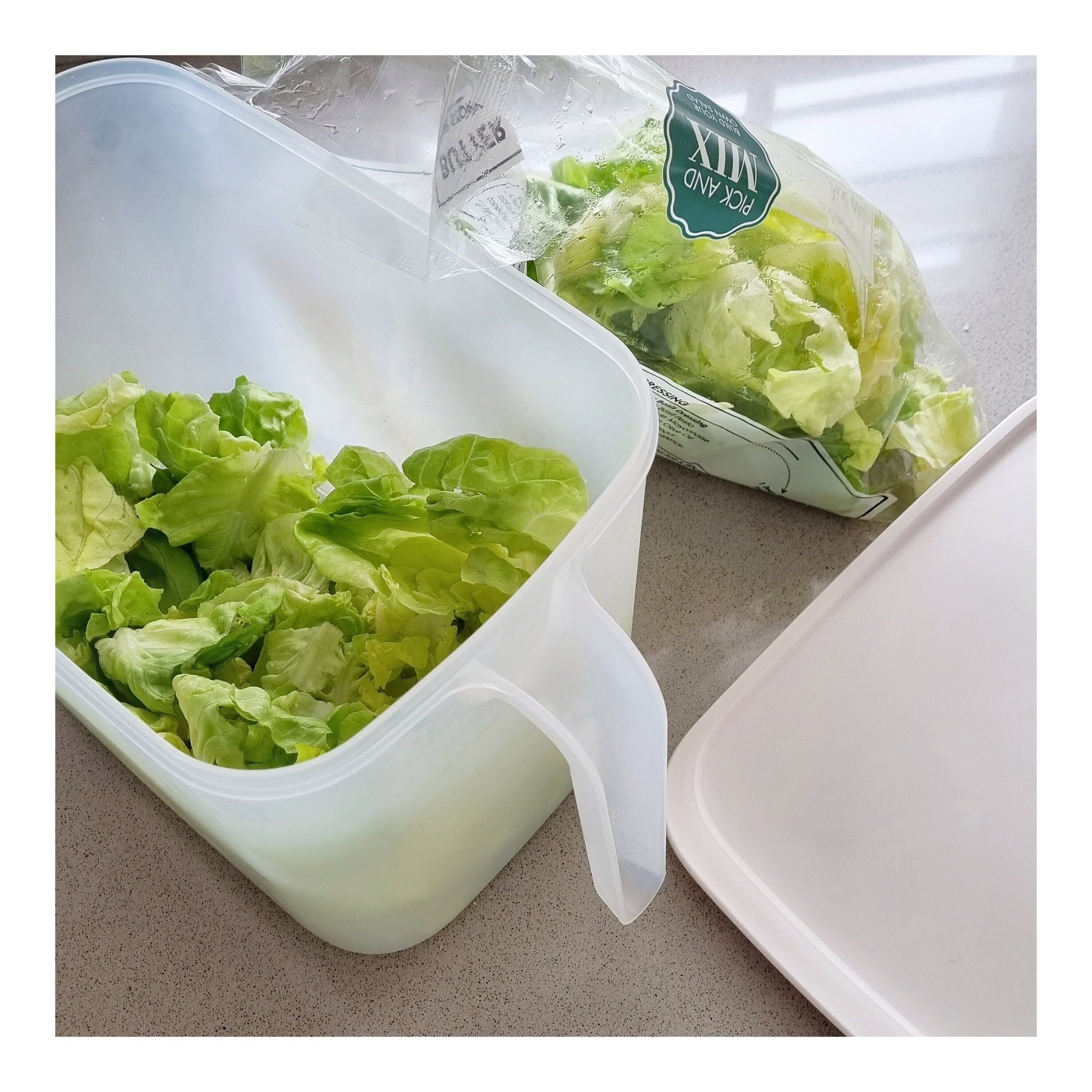 Pull-out storage container_bin (1)