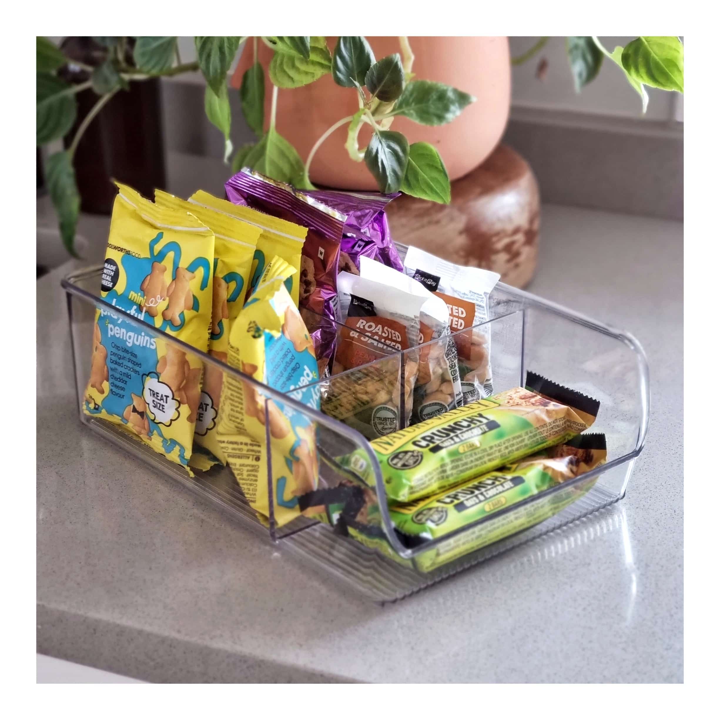 Open clear bins with dividers