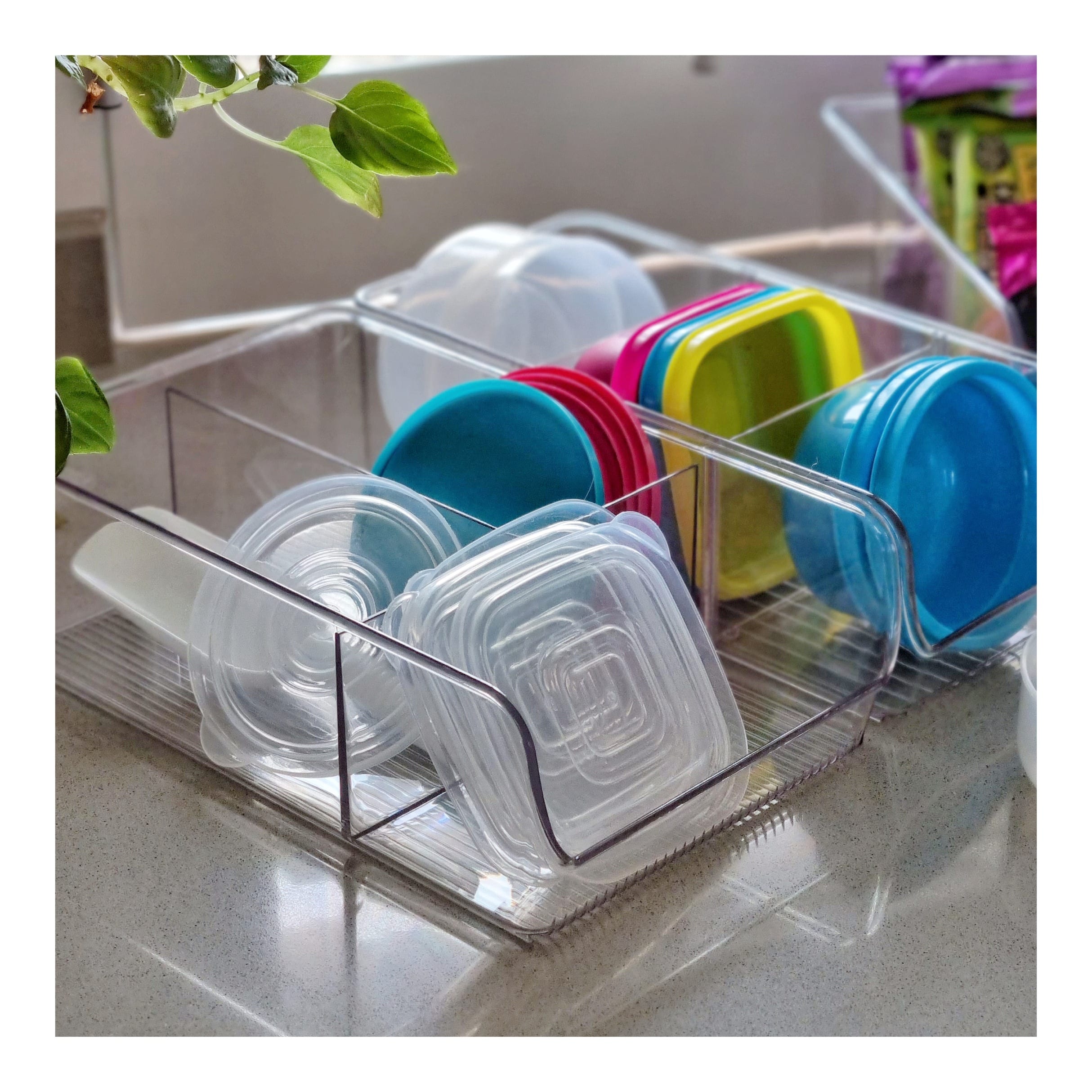 Open clear bins with dividers